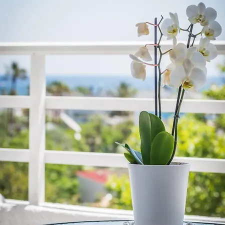 Essential Summer - Adults Only 2*