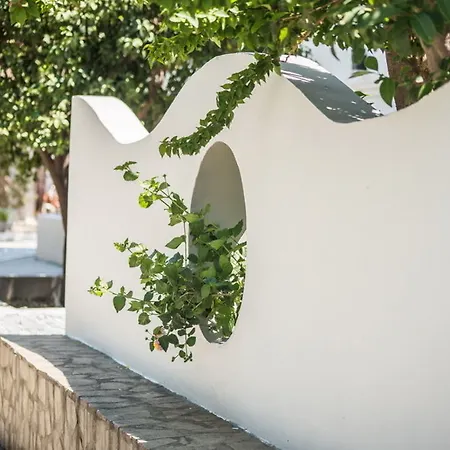 Essential Summer - Adults Only