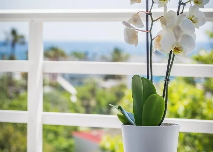 Essential Summer - Adults Only 2*