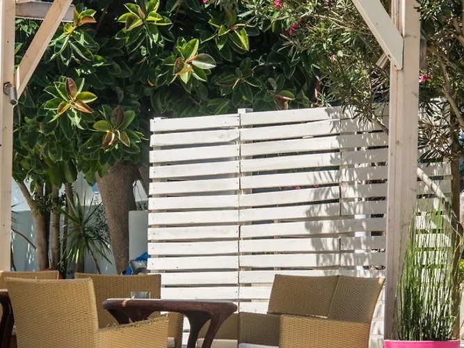 Essential Summer - Adults Only فاليراكي