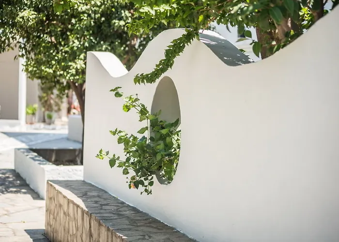 Essential Summer - Adults Only